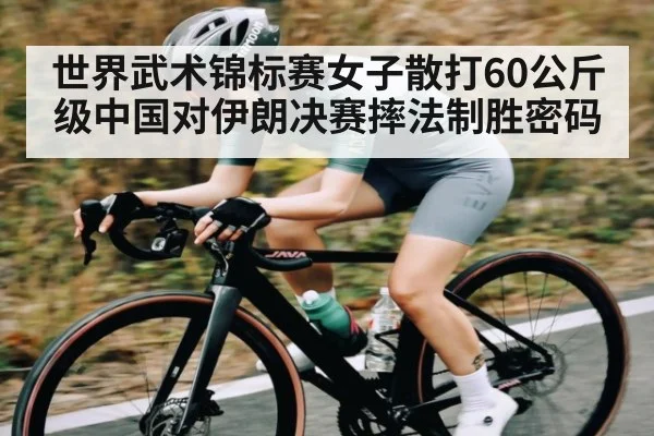 世界武术锦标赛女子散打60公斤级中国对伊朗决赛摔法制胜密码